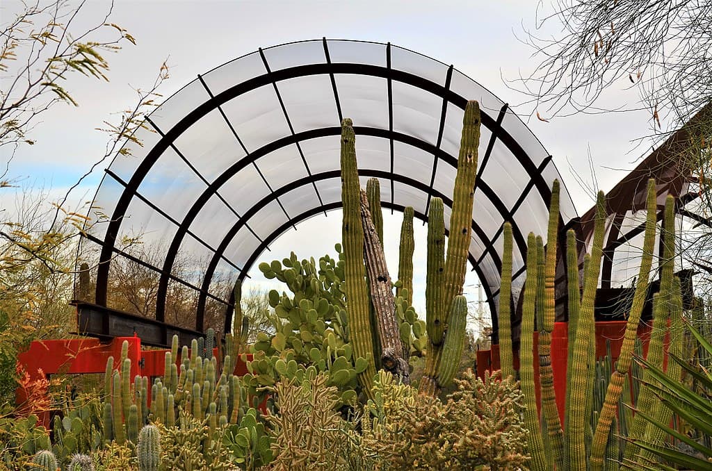 Desert Botanical Garden Phoenix - Wheelchair Accessible